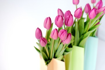 Fresh bright bouquet of pink tulip in paper bags. Beautiful greeting card. Spring holidas concept.