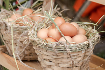 chicken eggs basket in the hey. in the farm