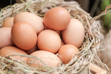 chicken eggs basket in the hey. in the farm