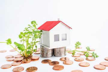 Prepare for a house / beautiful home