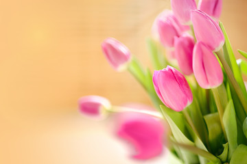 Fresh Pink tulips. A bouquet of spring flowers