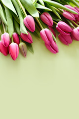 Fresh Pink tulips. Beautiful greeting card. Spring Holidays concept. Copyspace. Banner