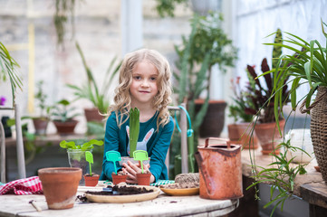 A child girl in a green dress transplants potted flowers in the winter garden. Girl in gardening help transplant indoor flowers