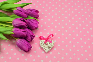 Obraz na płótnie Canvas birthday composition of purple tulips, a rattan heart with a pink ribbon, on a pink background with white polka dots