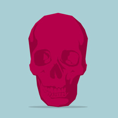 Vector drawn skull.Isolated on blue background.
