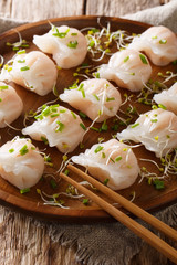 Chinese dim sum dumplings with seafood served with microgreen close-up on a plate. vertical