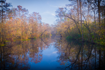 Fototapeta na wymiar Beautiful lake hidden in the swamps of Laplace, Louisiana. 