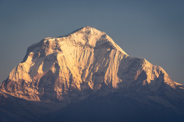 Dhaulagiri mountain peak, seventh highest peak in the world in a morning sunrise, Annapurna range, Himalayas mountain ,Nepal