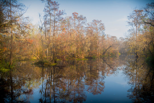 Beautiful lake hidden in the swamps of Laplace, Louisiana. 