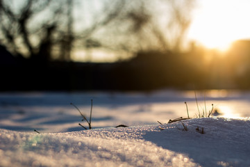 Fototapeta premium Beautiful snow on a sunrise 