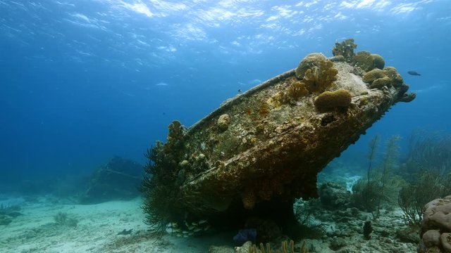Seascape of coral reef in the Caribbean Sea around Curacao at dive site Tugboat Saba with ship wreck, various corals and sponges