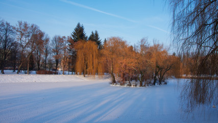 Fototapeta premium Winter in park