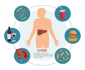 Causes of Liver Disease infographics medical background illustration