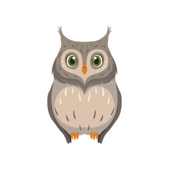 Cute owl, lovely bird cartoon character front view vector Illustration