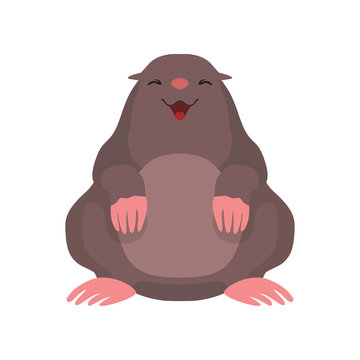 Cute mole, lovely animal cartoon character front view vector Illustration