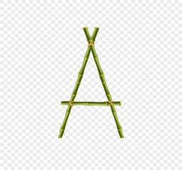 Capital letter A made of green bamboo sticks on transparent background.