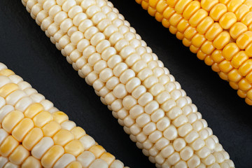 Corn vegatable closeup background