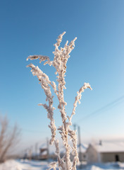 snowy winter landscape