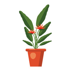 Strelitzia reginae, flower or bird of paradise. Green leaves, orange and violet blossom bouquet. South Africa flowering plant in vase. Vector illustration isolated on white background