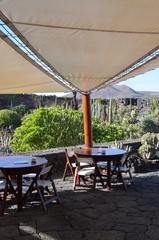 Giardino dei Cactus, Lanzarote