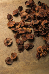 dried flowers with a round shape