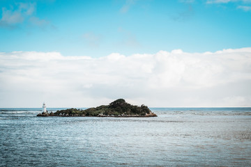 Tasmania, Australia on an Idyllic morning on the Gordon River, we'll take a cruise with great scenery and beautiful reflections in the water near the town of Strahan, on board of a highspeed catamaran