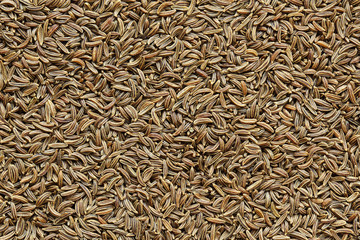 caraway seeds closeup background texture