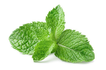 Fresh mint leaves, isolated on white background