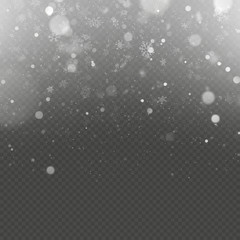 Christmas snow falling overlay effect. EPS 10