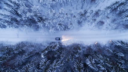 Car driving on snowy country road through fir forest at night.