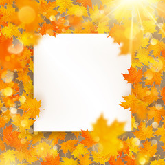 Autumn maple leaves template with white paper card. EPS 10