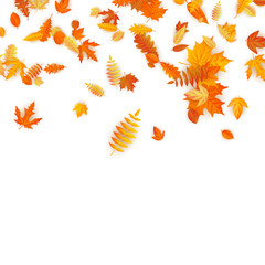 Fototapeta na wymiar Autumn background with golden maple, oak and others leaves. EPS 10