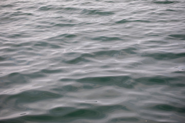 Fototapeta premium Blue Sea Texture