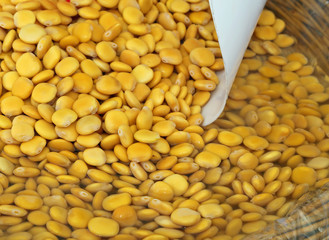 Lupinus albus beans pickled in brine for sale
