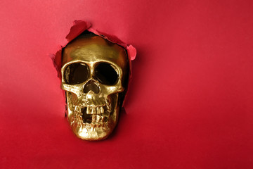 Golden human skull visible through torn color paper