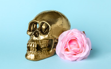 Golden human skull with flower on color background