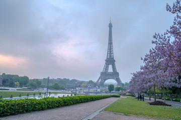 Fototapeta premium 朝のエッフェル塔
