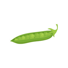 Ripe peas in bright green pod. Organic and healthy product. Cooking ingredient. Natural food. Flat vector icon