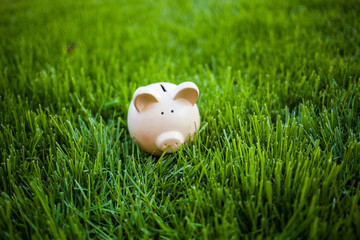Piggy Bank grass outdoor