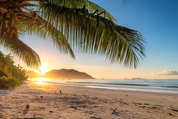 Fototapete Strand und Meer Tropischer Strand bei Sonnenaufgang mit Palmen auf der Insel Jamaika. Sommerferien und Reisekonzept.
