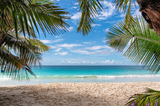 Tropical beach with palms in Seychelles. Summer vacation and travel concept.  