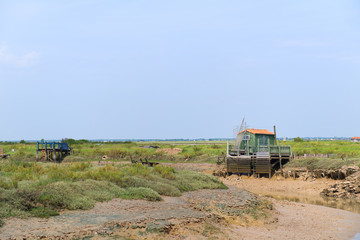 Oyster cabine from fisherman