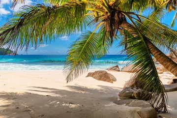 Tropischer Strand mit Palmen und türkisfarbenem Meer auf der Insel Seychellen. © lucky-photo