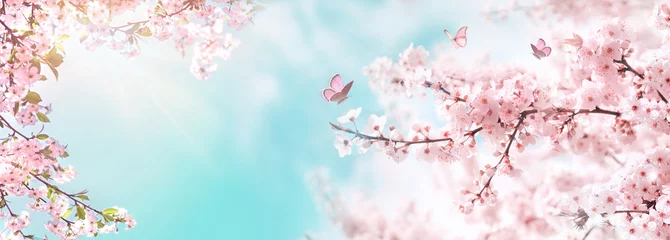  Lente banner, takken van bloeiende kersen tegen de achtergrond van blauwe lucht en vlinders op de natuur buitenshuis. Roze sakura bloemen, dromerige romantische beeld lente, landschap panorama, kopieer ruimte. © Laura Pashkevich
