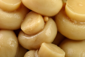 Small appetizing champignons close-up. Edible mushroom texture for background. Marinated, canned...