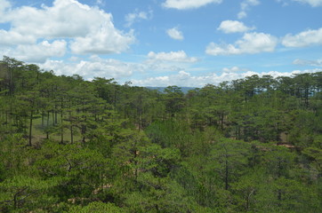Beautiful landscape in Vietnam