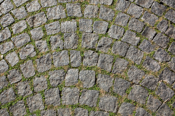 Old rounded paving stones with grass