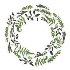 Green vector wreath frame made from twigs and leaves. Forest fern, herbs, eucalyptus, branches boxwood, buxus, brunia, botanical green isolated on white background. For wedding