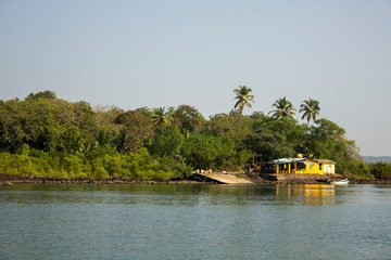 brightly green jungle with palm trees and a yellow house with a boat against the backdrop of the sea coast and a clean blue sky