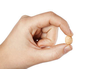Dry nuts in the hand isolated